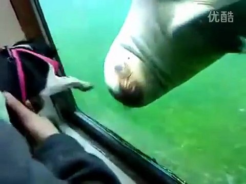 cheap louis vuitton bags dressesstop.com (8)