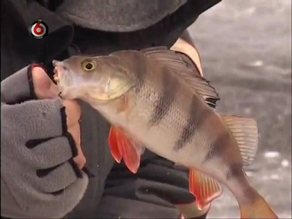 Vienam.gale.kablys.2012.01.08.DSR.XVID-CNN