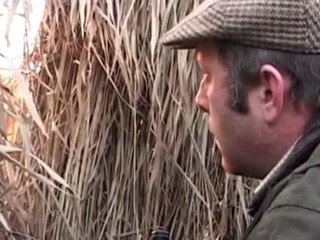 Tauro.ragas.2012.01.15.DSR.XviD-CNN