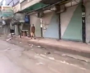 فري برس   ادلب كفرنبل اليوم الثاني من اضراب اسبوع الشهداء 23 1 2012