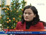 THỜI SỰ 19H 23.01.2012 CLIP 1/3, TTXVN, VNEWS, VNA, TRUYỀN HÌNH THÔNG TẤN, TTXVN