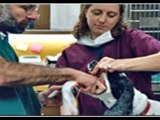 Croton Mobile Veterinary Clinic Hospital New York - ...