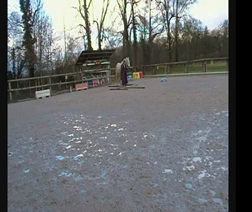 22 janvier 2012 (Tracy)