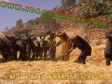 ‫قبيلة إداوسملال ⵣ الروا RWA عملية الدرس التقليدية‬ - YouTube