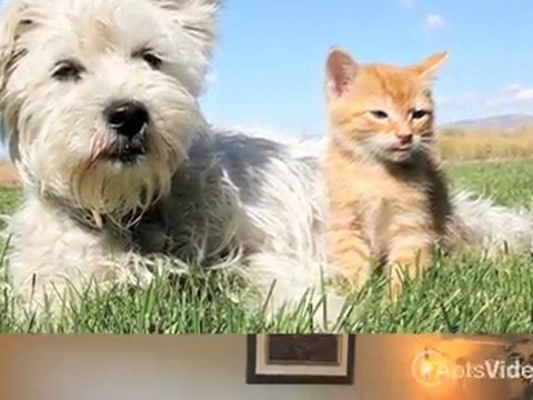 River Ridge Homes Apartments in Burnsville, MN - ForRent.com