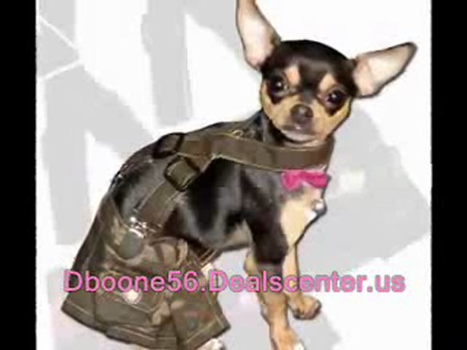 dogloo extra large