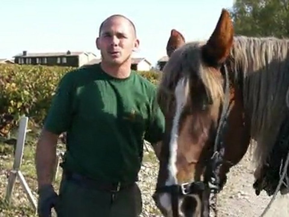 AEQUITAINE Traction animale film complet