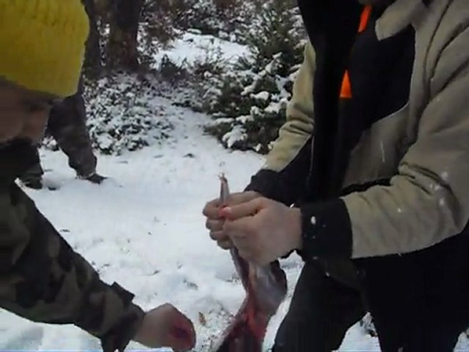 TAVŞAN NASIL YÜZÜLÜR