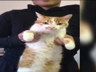 Les internautes s'approprient le clip de campagne de François Hollande