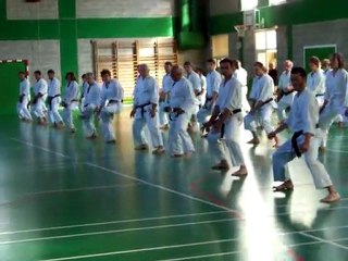 marche Tekki Shodan