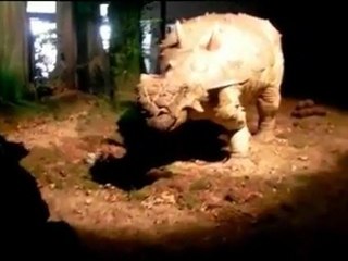 ΔΕΙΝΟΣΑΥΡΟΙ-DINOSAURS from Natural History Museum @ the Mall Athens -Greece