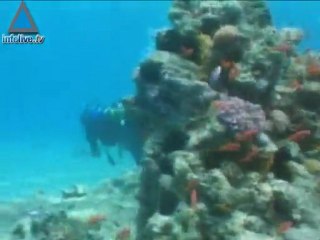 EL-AL commences flights to Eilat