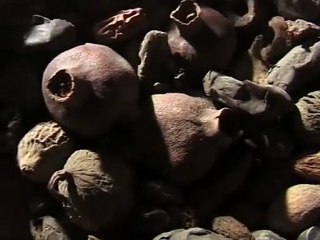 Les hommes oubliés de la Vallée des Rois 02