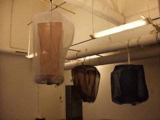 Utopies architecturales