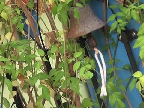 Guadeloupe Trotter - Jour 6 - Découverte de Basse-Terre