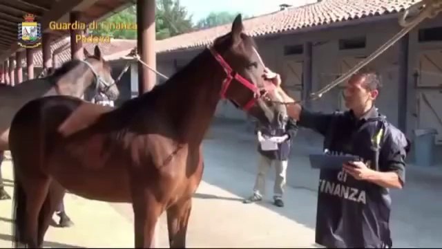 Padova - Evasione fiscale. operazione della Gdf