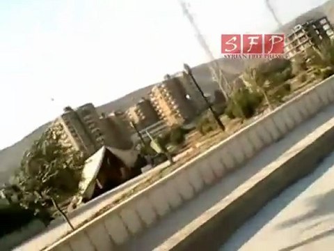 التواجد الأمني في ضاحية الأسد قرب حرستا 20-7-2011