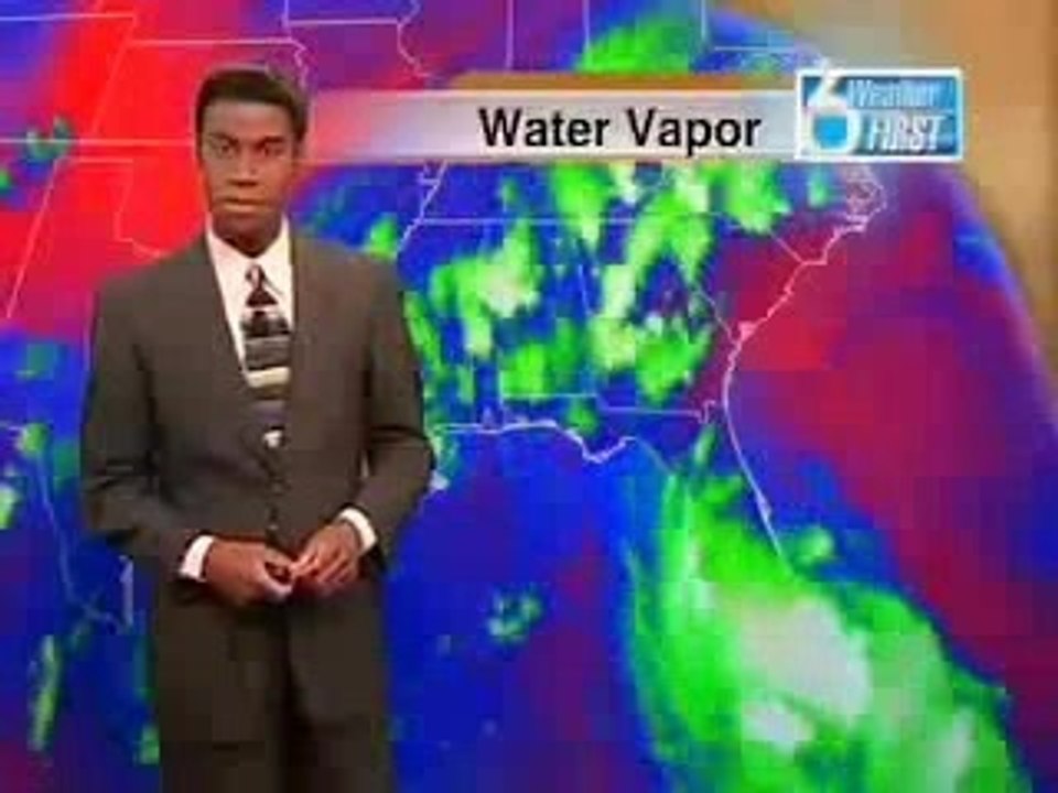 Weatherman Scared By Cockroach