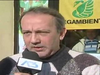 smog si studia lecopass