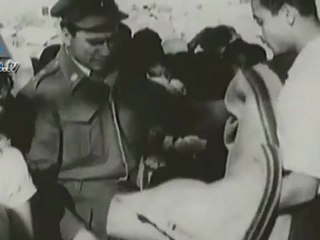 Underwater search for sunken Altalena ship set to begin