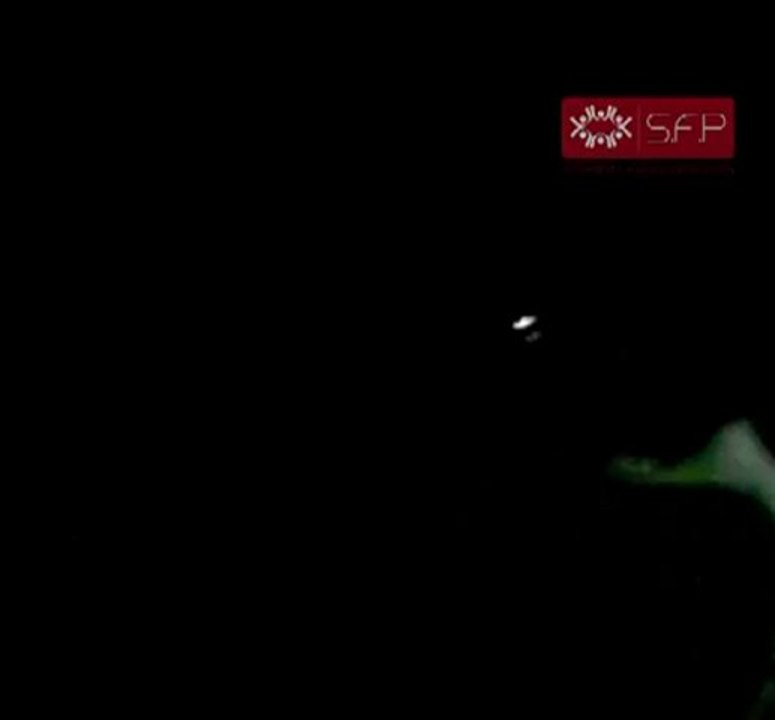 فري برس   مدينة طفس الحرة 16 9 2011