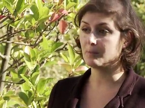 Dossier Développement économique_Introduction