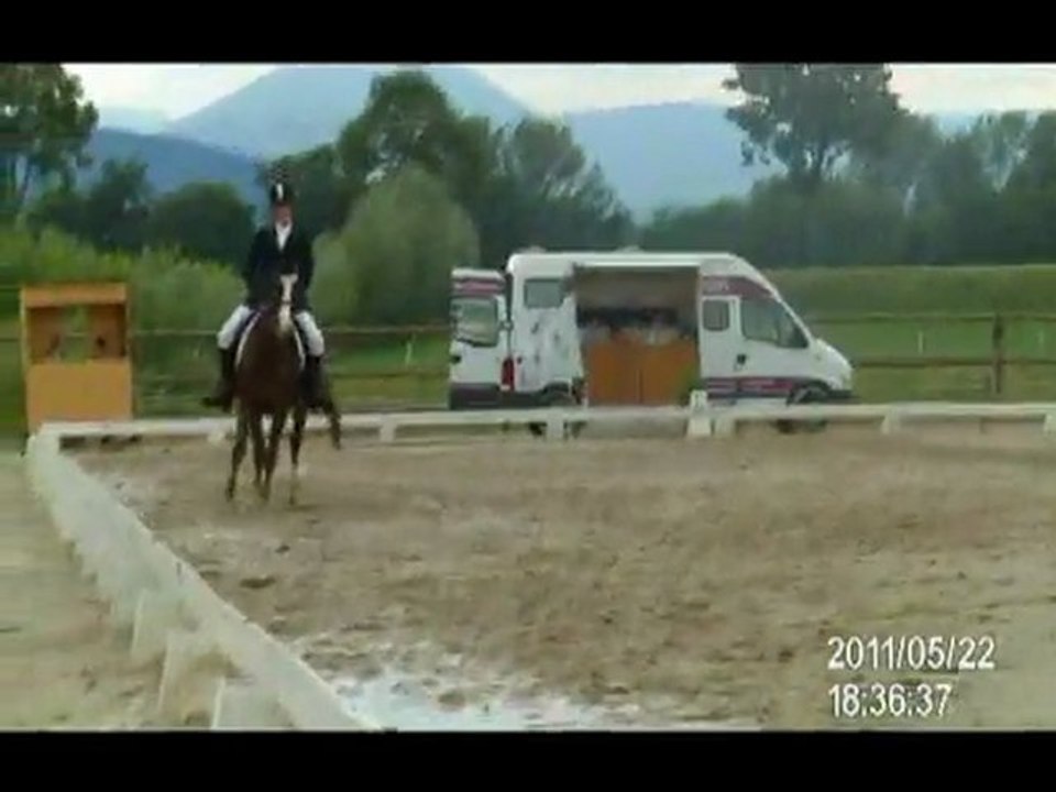 Dressage 2007 -2011