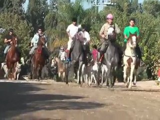 Attracting tourists to Judea and Samaria