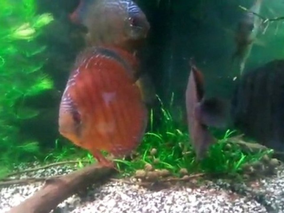video-2012-01-25-20-56-53