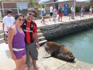 [Punta del Leste 4-4] [Por onde andei] [S03E01V04] [Férias no Uruguai]