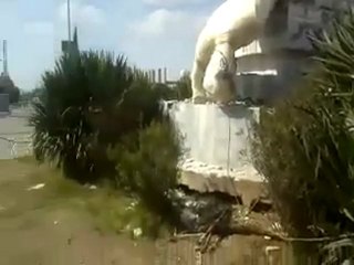 فري برس   صنم المقبور بعد أسقاطه بعامودا 8 10 2011