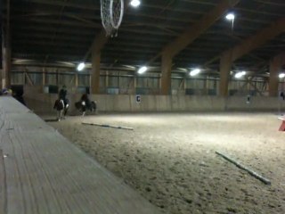 Fadette & moi au galop