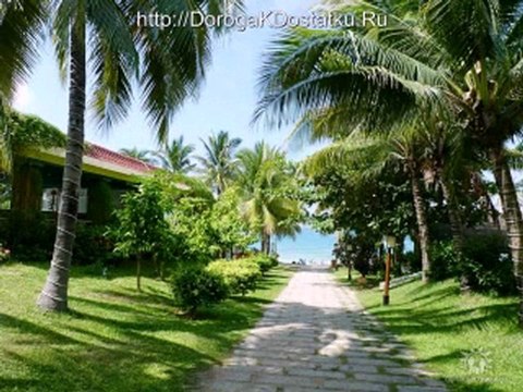 Следуй за своей мечтой