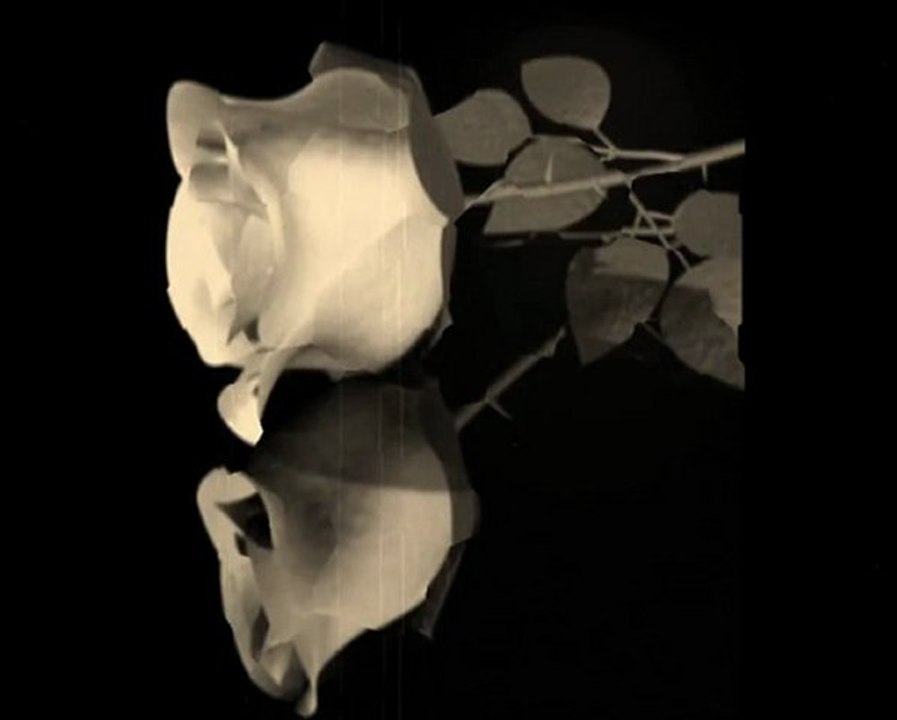 Erdal Merdan - Dilek Dagi.Sesli Botanik www.SesliBotanik.com >>MEZARCI