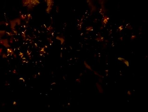 فري برس درعا مسائية درعا البلد اسمع يا بو نص لسان 17 11 2011