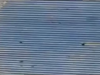 فري برس   الحولة   آثار إطلاق النار من عصابات الأسد 20 11 2011