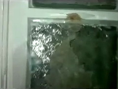 فري برس حمص البياضة قصف احد المنازل صباحا 26 11 2011