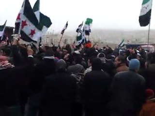 اعتصام الجالية السورية بالأردن أمام السفارة بمشاركة قافلة الكرامة 27/1/2012