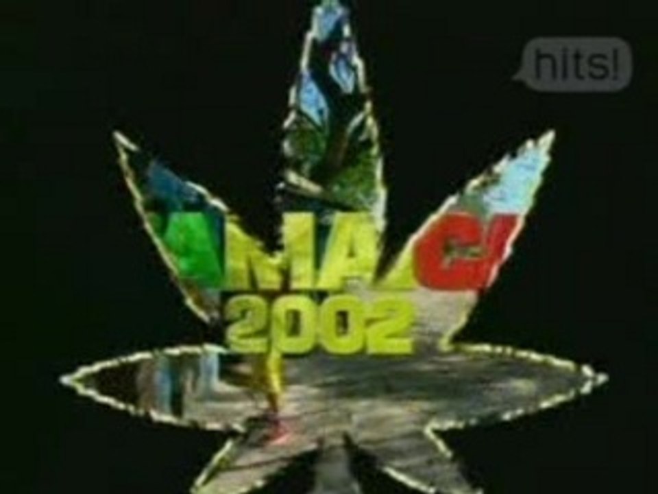 Ali G feat shaggy - me julie