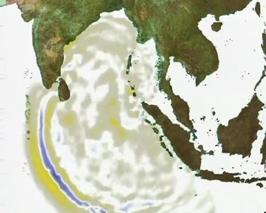 Le Tsunami vu de l'Espace