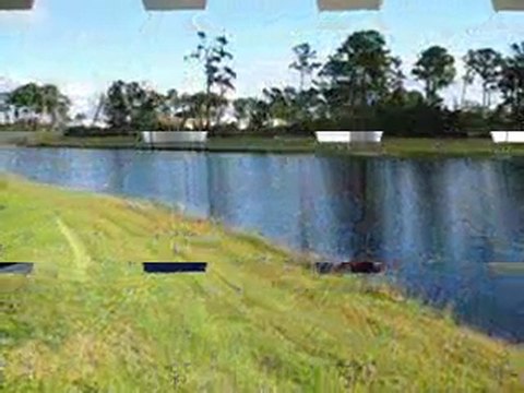 THE BEST COTTAGE HOLIDAY VACATION RENTALS