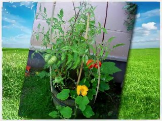 Aimer est plus salutaire que d'être aimé ❤️