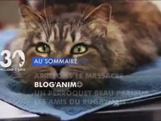 Sommaire émission 30 Millions d'Amis 29/01/2012