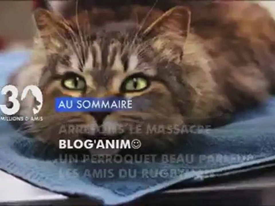 Sommaire émission 30 Millions d'Amis 29/01/2012