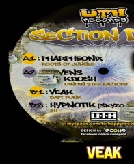 Teaser SECTION DNB 01/ UTH RECORDS