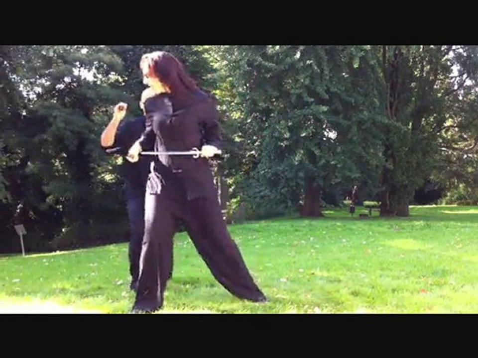 Wing Tsun Universe (WTU) Guild Movements