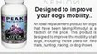 DogsHealth.com/Aspirin For Dogs _ Canine Pain Relief