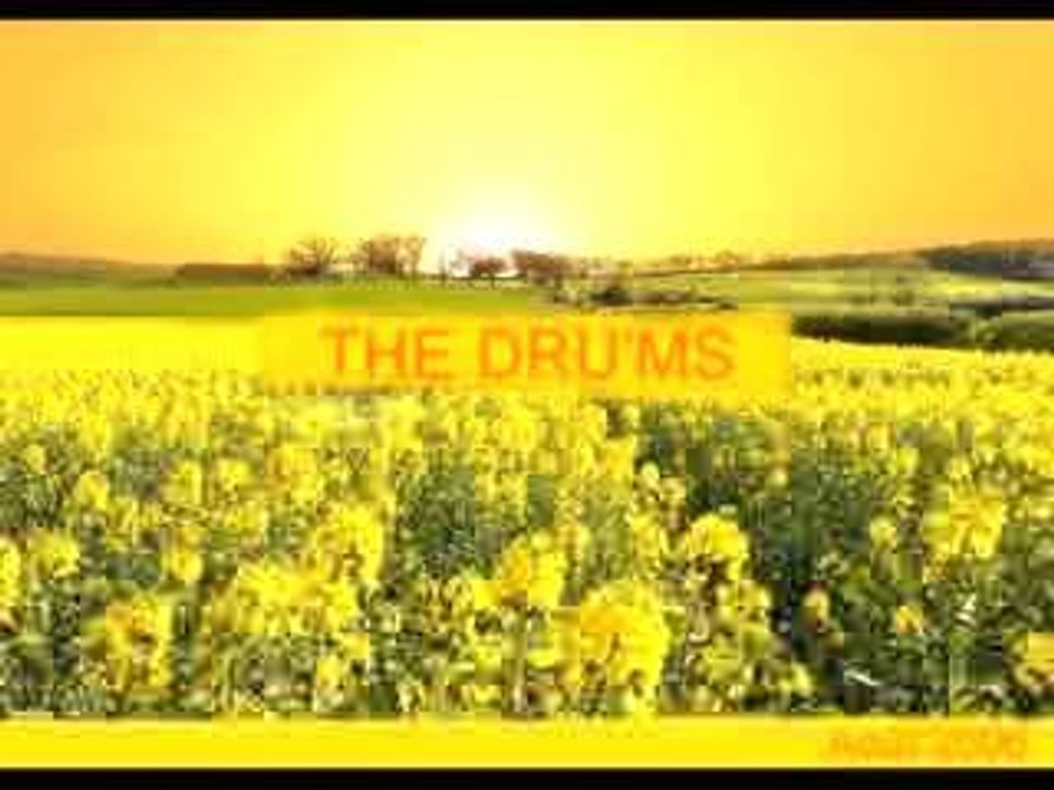 THE DRU'MS en concert...