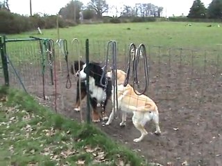 DIEGO A LA GARDERIE - 6 -