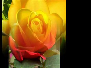 Andy y Lucas Al Alba (Realizado por Blaque)